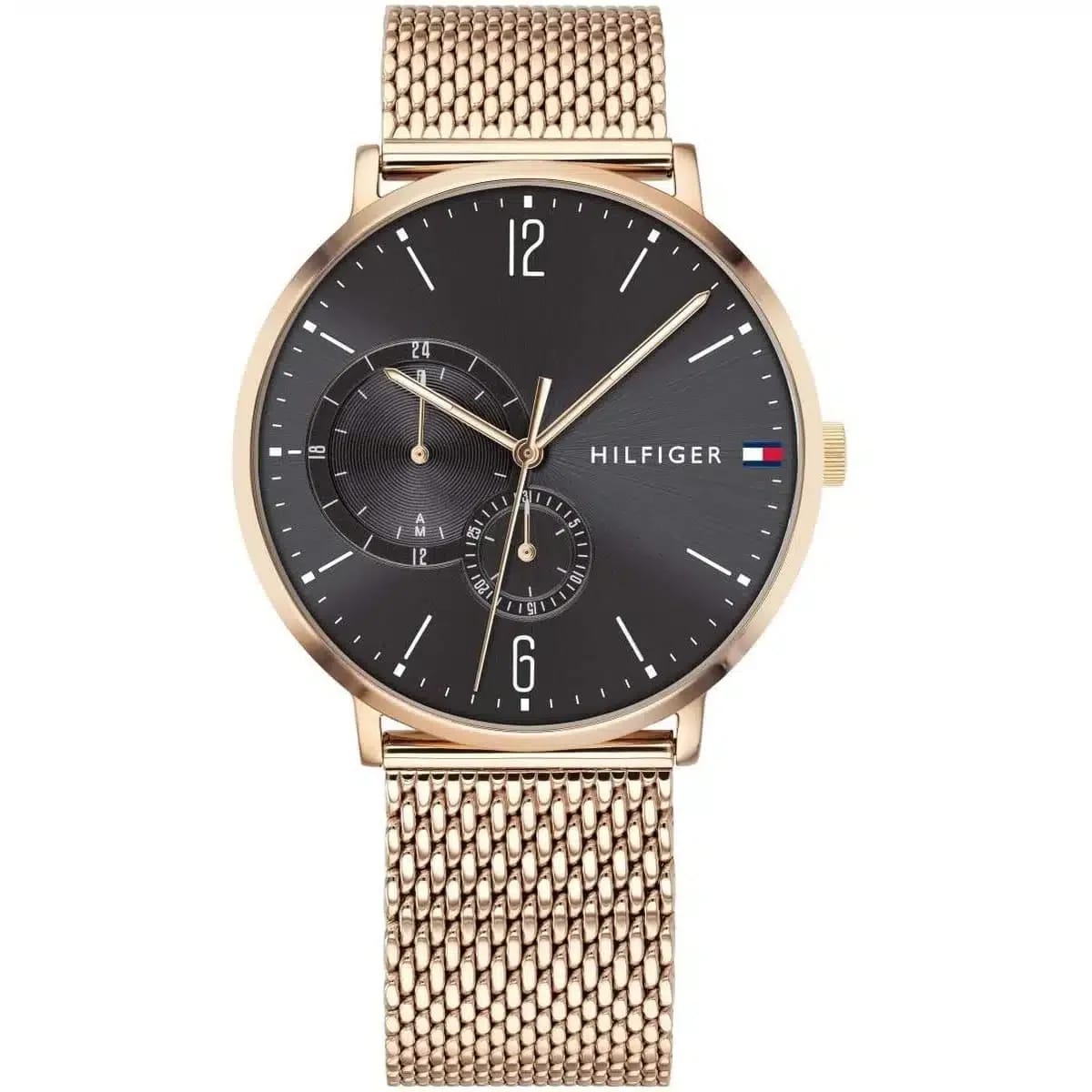 Tommy Hilfiger Classic Men’s Watch 1791506– Grey Dial, Gold Strap - image 1